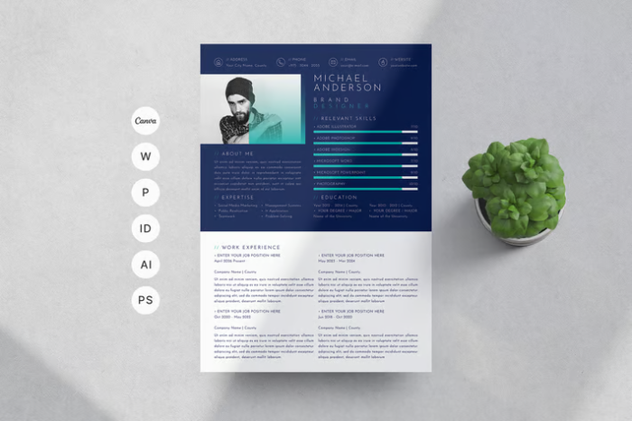 Хөх туузат CV