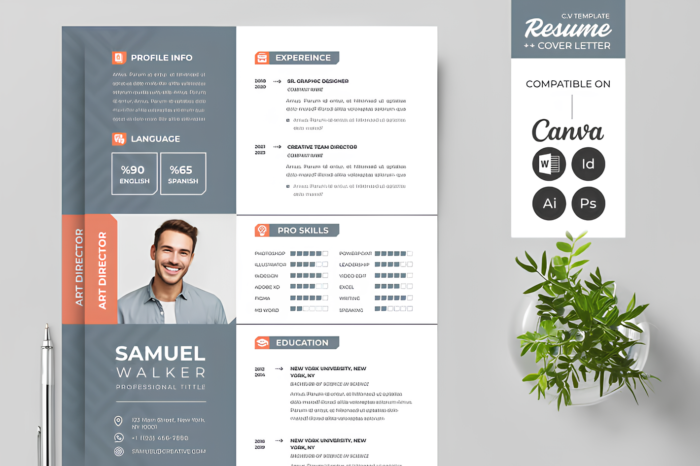 Цэмцгэр Мэргэжлийн CV