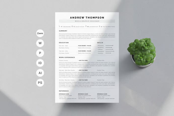 Цэвэр саарал CV